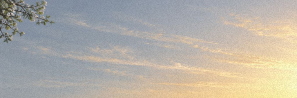 A wide sky at first light, pale blue warming to gold, with hawthorn blossom at the top left.